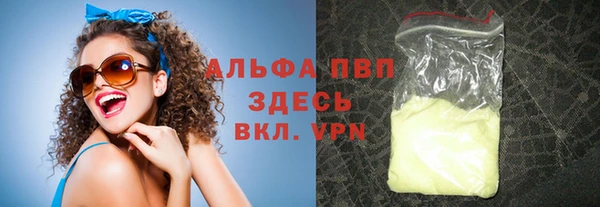 spice Богданович