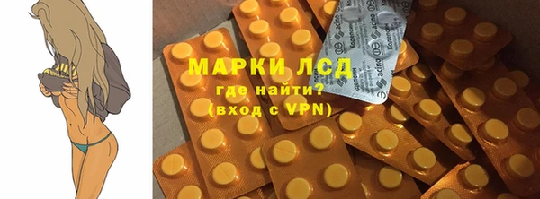 spice Богданович
