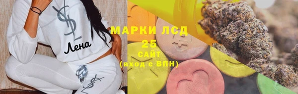 spice Богданович