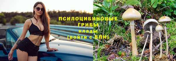 spice Богданович