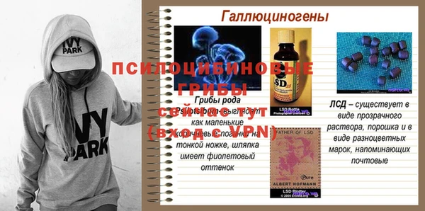 spice Богданович