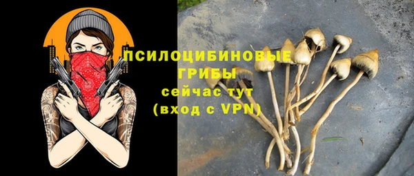 сатива Богородск