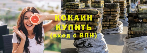 spice Богданович