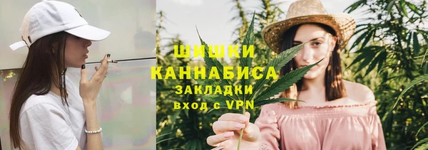 сатива Богородск