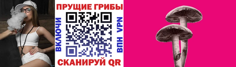 Галлюциногенные грибы GOLDEN TEACHER  Смоленск 
